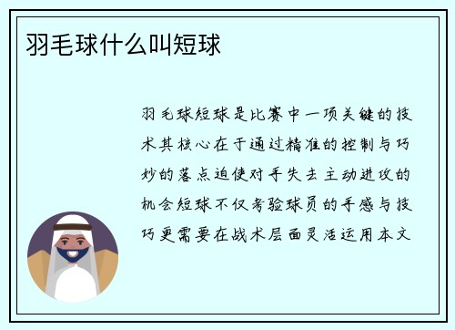 羽毛球什么叫短球